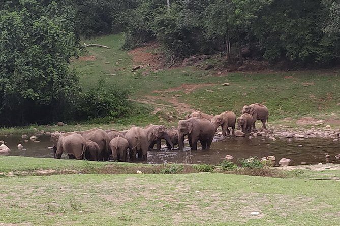 1 Day Activity Adventure Trekking Kerala - Key highlights worth getting excited about