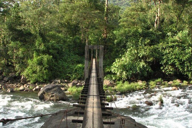 1 Day Activity Adventure Trekking Kerala - Getting started: Kochi-area pickup and your morning rhythm