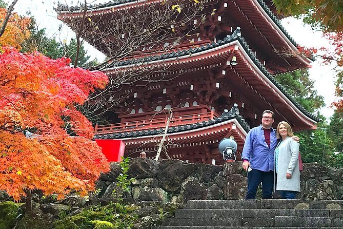 1-Day Kochi Highlights Tour with local guide - Kochi Castle: the views, the climb, and why it’s worth it