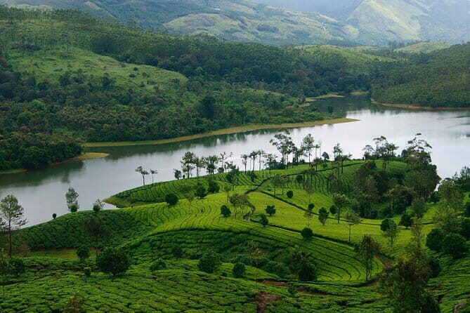 12 Hours Private Munnar Tour from Kochi - Munnar market and the spice farm: flavors, shopping, and guided aromatics