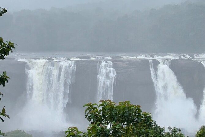 4 Day Kerala Tour Athirappilly Munnar Alleppey - Day 2 in Munnar: Eravikulam’s Rajamalai trek plus tea estate walking