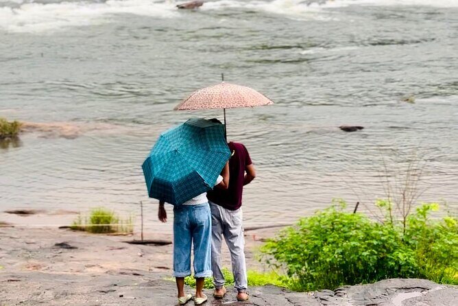 4 Day Kerala Tour Athirappilly Munnar Alleppey - Price and value: is $364.50 per person a fair deal?
