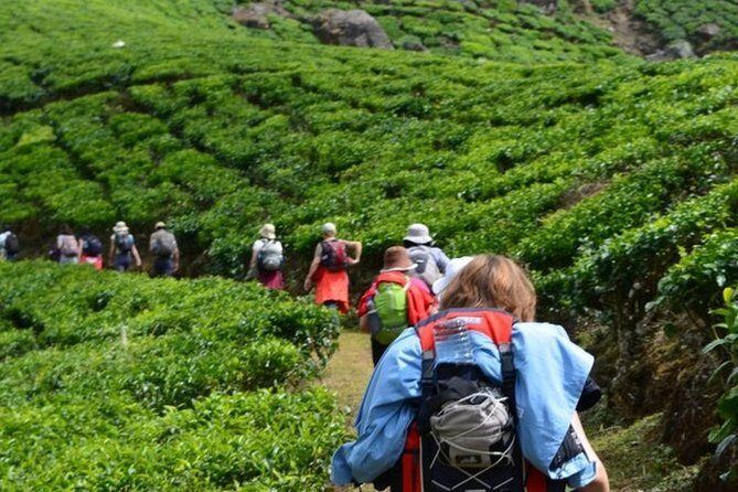 4 Days Best of Kerala Tour with Private Houseboat, Sightseeing & Car - Communication and driver quality: why it matters on a road-heavy route