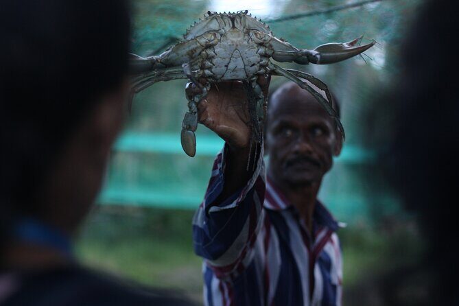 4 Hours Private Village Life Experience in Kochi with Pickup - The water part: Chinese fishing nets, crab farming, and a country boat ride