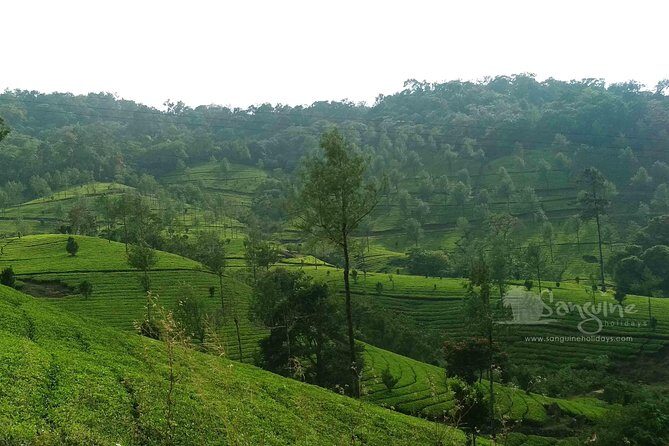 5 Days Budget Kerala Tour Packages by Sanguine Holidays - What you’re really booking: a private Kerala circuit with built-in comfort