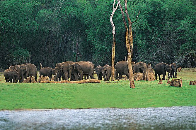 5 Days Kerala Tour Package With 4 Star Stays & Private Houseboat - Key highlights worth noticing