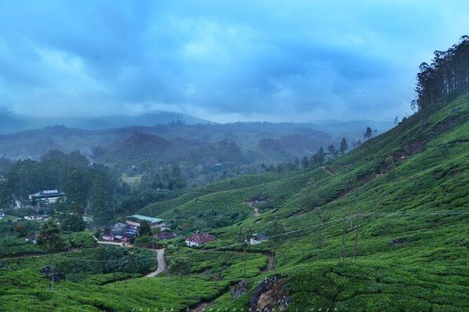 5 Days Kerala Tour Package With 4 Star Stays & Private Houseboat - Day 4: Alleppey backwaters on a deluxe houseboat with meals included