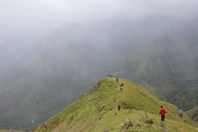 5 Days Kerala Tour Package With 4 Star Stays & Private Houseboat - Comfort and timing: private pacing beats the herd