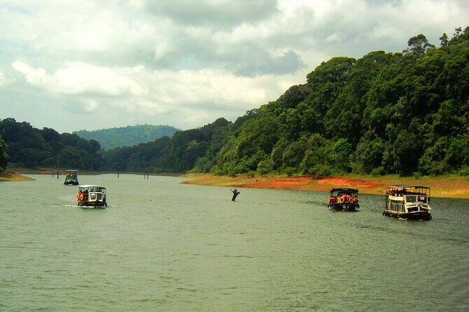 5 Days Kerala Tour with Private Car Houseboat Munnar and Thekkady - The biggest praised part: service that keeps the day flowing