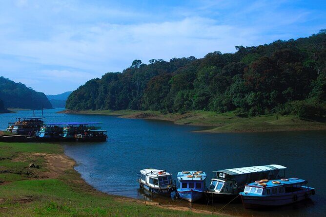 5 Days Luxury Kerala Tour with Houseboat Experience - Getting from Cochin to the hills: how Day 1 sets your pace