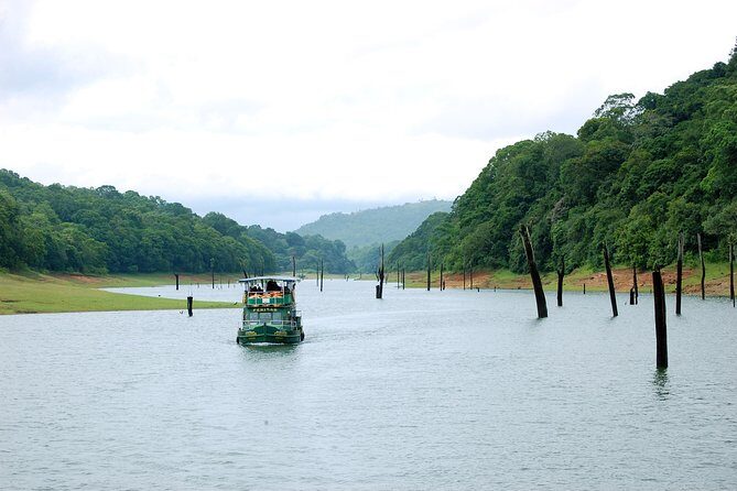 5 Days Private Kerala Tour Package by Saffron India Tours - Who this 5-day Kerala tour fits best (and who should rethink it)