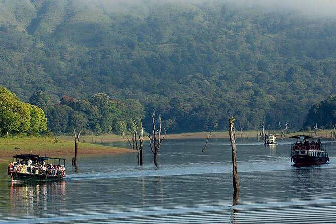 5 Days Private Kerala Tour with Houseboat by Sanguine Holidays - Day 1 near Kochi: Cheeyappara and Valara waterfalls without the stress