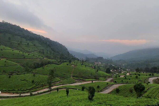5 Days Private Kerala Tour with Houseboat by Sanguine Holidays - Private transportation: what you actually get (and why it matters)