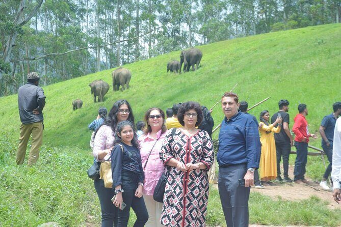 5-Days Private Kerala Tour with Sightseeing Tickets - Day 2: Eravikulam National Park for Nilgiri Tahr plus tea-viewing stops