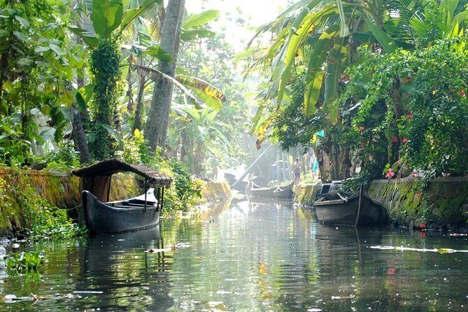 6 Days Private Tour Kerala Natural Retreat - Periyar Wildlife Sanctuary and Thekkady: boat time with real patience
