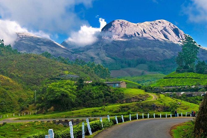 7-Day Kerala Luxury Tour from Cochin with Private Driver - A 7-day Kerala route that keeps everything moving (without chaos)