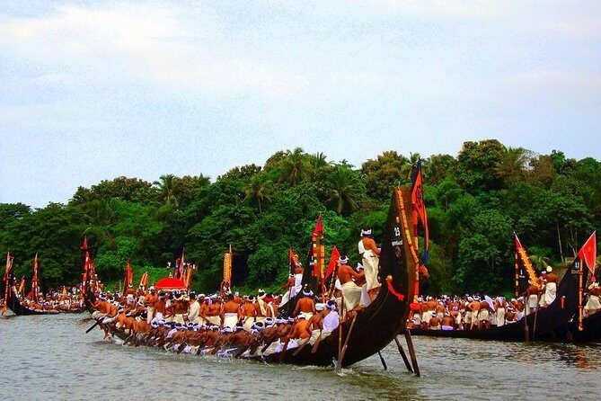 7-Day Kerala Luxury Tour from Cochin with Private Driver - Price and what $620 gets you in real terms