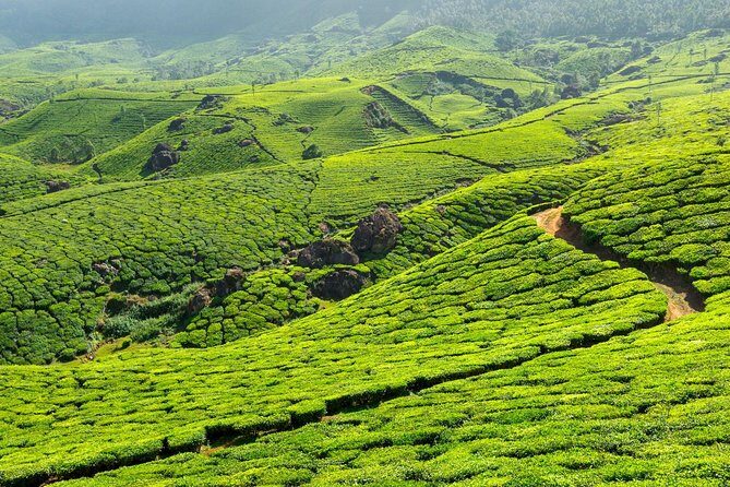 8 Days Kerala Private Tour (3 Star) with Munnar, Houseboat & Cab- Iris Holidays - Alleppey Backwater Reset: A Full Relax Day After the Houseboat