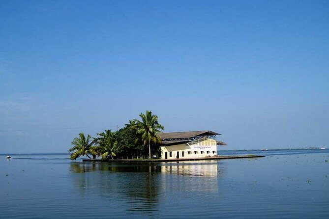 8 Days Kerala Private Tour (3 Star) with Munnar, Houseboat & Cab- Iris Holidays - Munnar Sightseeing: Mattupetty, Echo Point, and Eravikulam Options