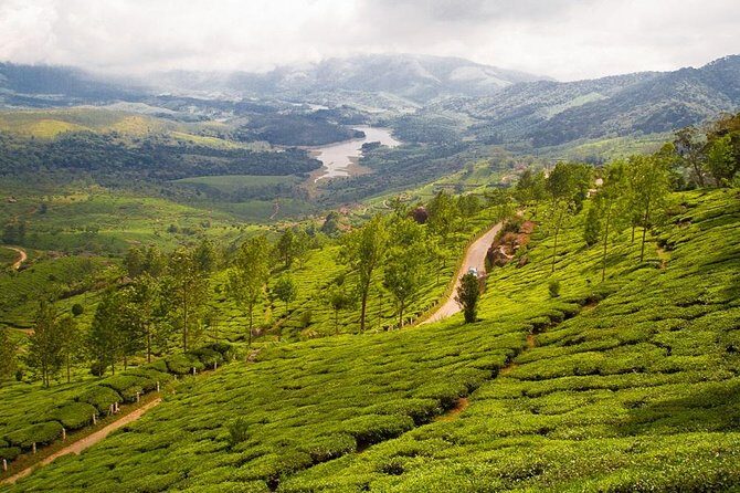 9 Days Private Exotic Kerala Tour - The long drive to Munnar: tea country starts changing your pace