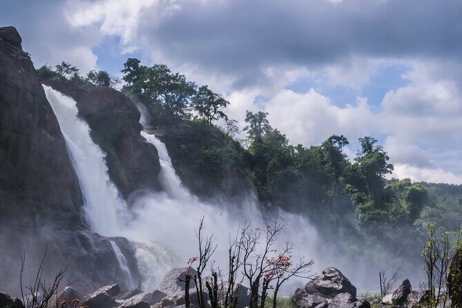 Athirapally Waterfalls from Cochin - Who this tour suits best (and who might think twice)