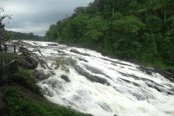 Athirappally & Vazhachal Waterfall Tour with Lunch - Kochi to the Falls: hotel pickup, A/C comfort, and a full-day pace