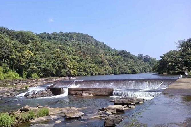 Athirappally & Vazhachal Waterfall Tour with Lunch - Timing and logistics: why the schedule feels smooth