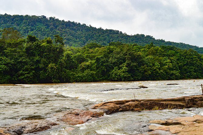 Athirappilly Falls & Cherai Beach Bliss - Day Escape from Kochi - Athirappilly Waterfalls: Kerala’s Big One (and Timing You Should Respect)