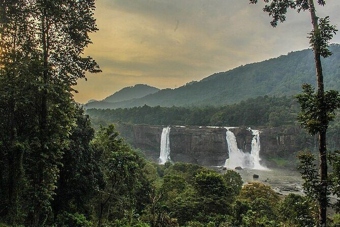 Athirappilly & Vazhachal Waterfalls Private Day Tour from Kochi - The drive experience: why the comfort matters