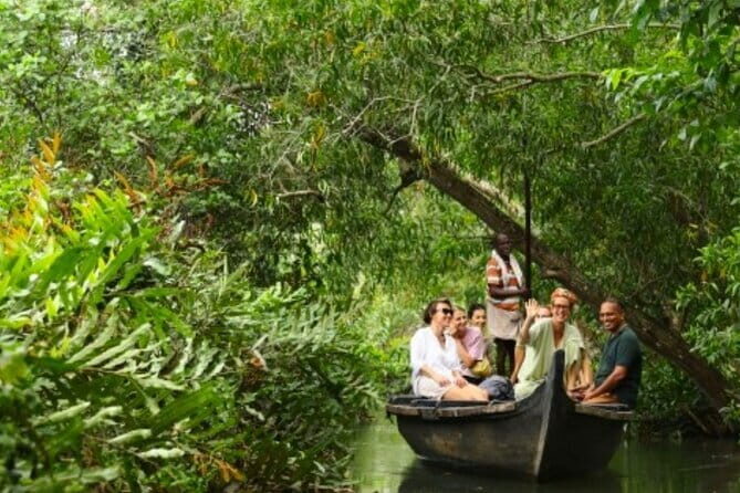 Backwater Tour from Cochin - The first cruise in a covered kettu vallam and village walk