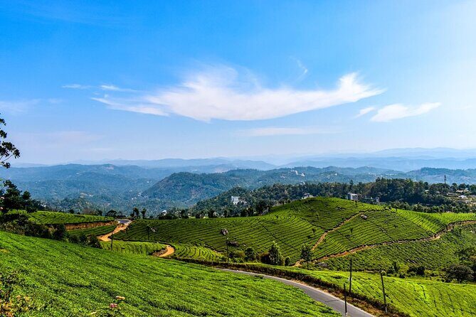 Best of Kerala Tour (Exclusive Private tour) - Munnar tea hill station: Echo Point and the cool mountain rhythm