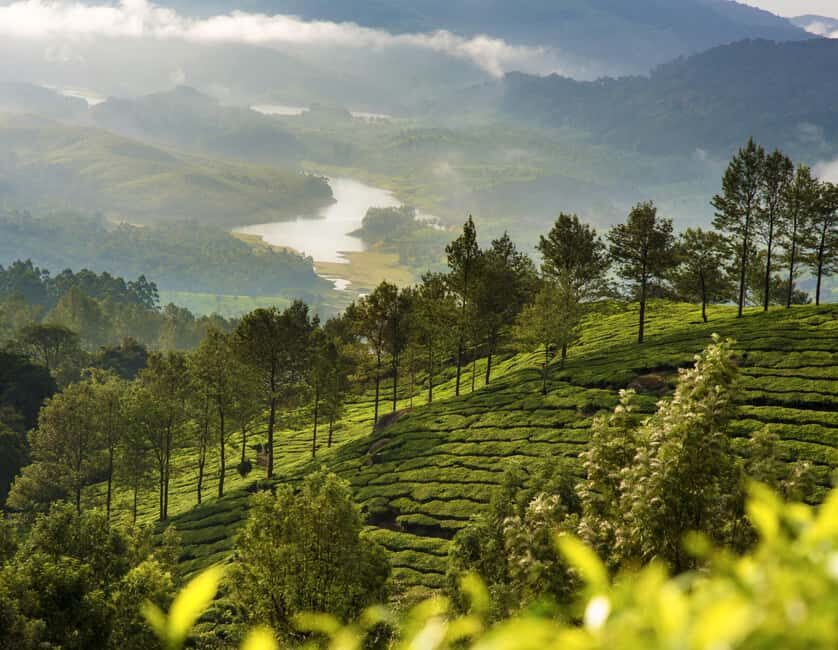 Cochin: 5-Day Kerala Tour with Munnar, Thekkady and Alleppey - The route that actually fits five days from Cochin