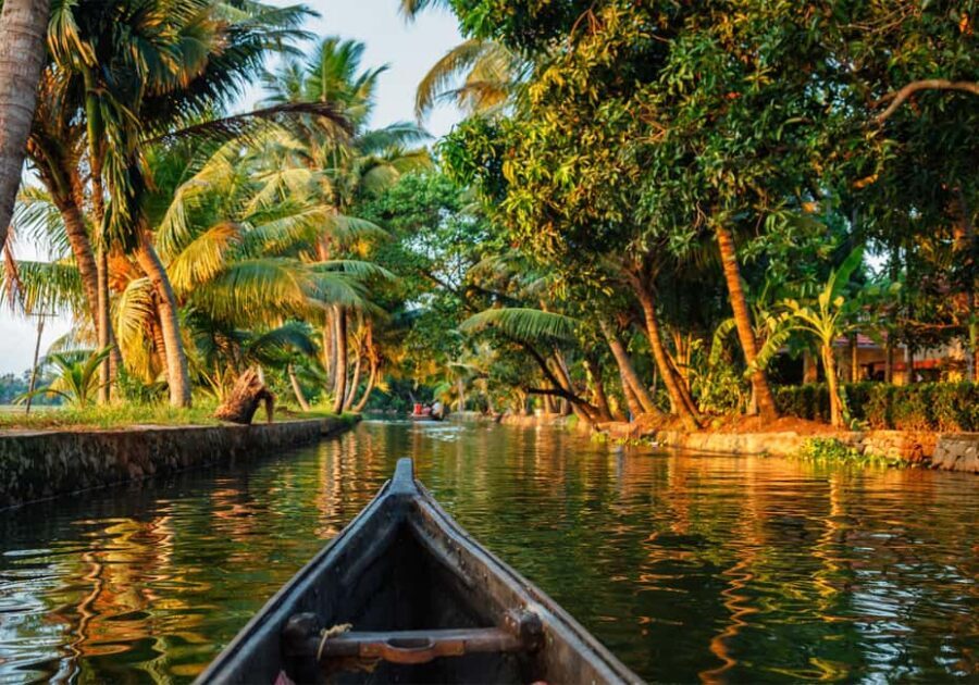Cochin: 5-Day Kerala Tour with Munnar, Thekkady and Alleppey - Day 5: Back to Cochin and Fort Kochi’s heritage walk