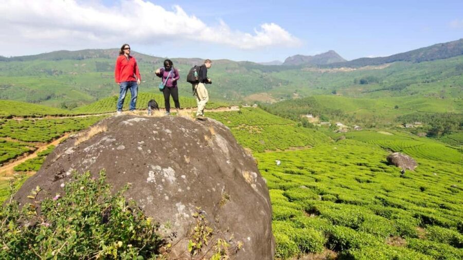 Cochin: 5-Day Private Tour of Munnar, Alleppey & Backwaters - Key things that make this tour work