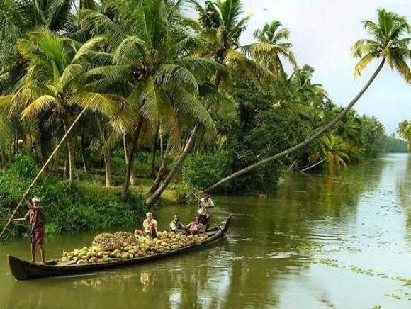 Cochin : Alleppey/Alappuzha Backwater Canoe (Shikara) Cruise - Key highlights worth your attention