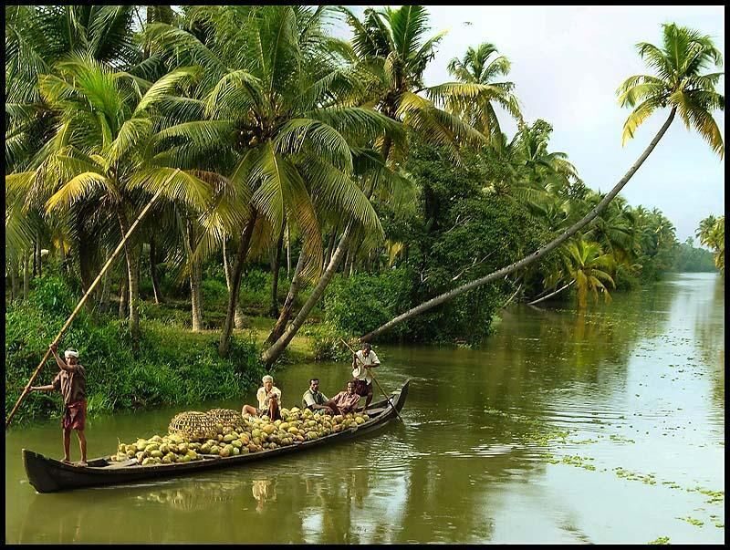 Cochin: Alleppey Backwater Private Day Cruise by Houseboat - Key things to notice before you book