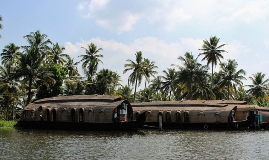 Cochin: Alleppey Backwater Private Day Cruise by Houseboat - Pickup in Cochin and the Transfer to the Backwaters