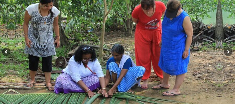 Cochin: Backwater Village Eco Boat Cruise with Lunch - Why this motorless backwater cruise feels different