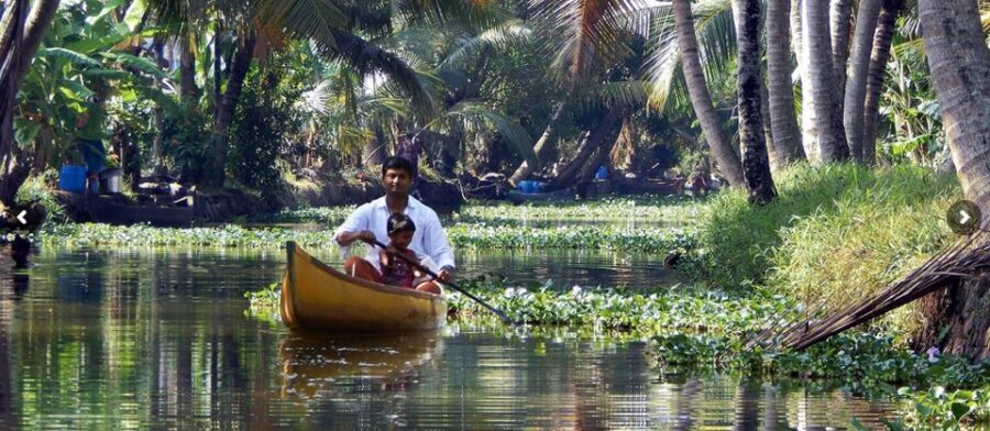 Cochin: Backwater Village Eco Boat Cruise with Lunch - Time, group size, and comfort details that matter in real life
