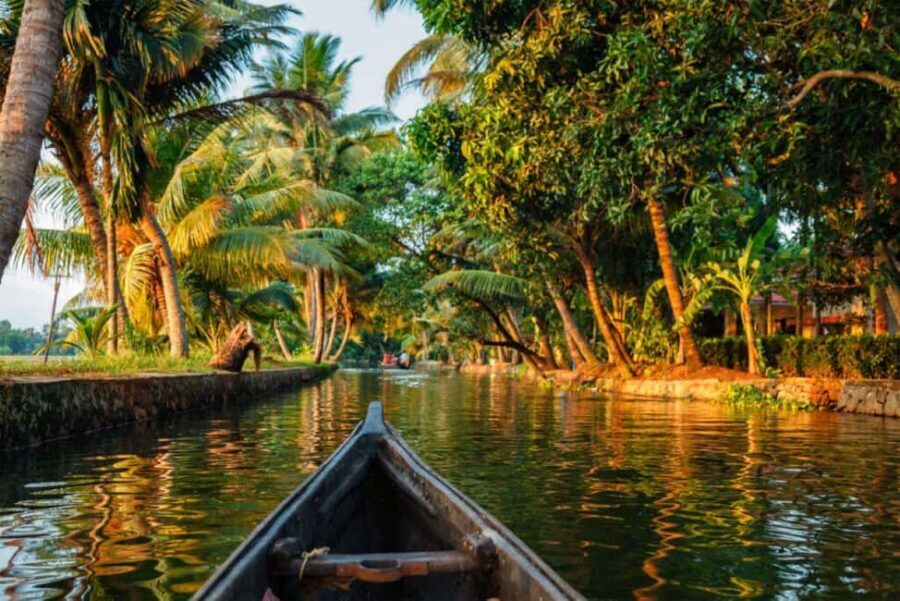 Cochin Backwaters Tour: Eco Boat Ride & Traditional Lunch - Village Stop: How Coconut Weaving and Coir Making Work