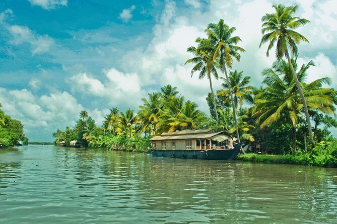 Cochin City or Backwater Shore Excursions from Cruise Terminal - Houseboat vs shikara in Kochi’s backwaters: choose your kind of quiet