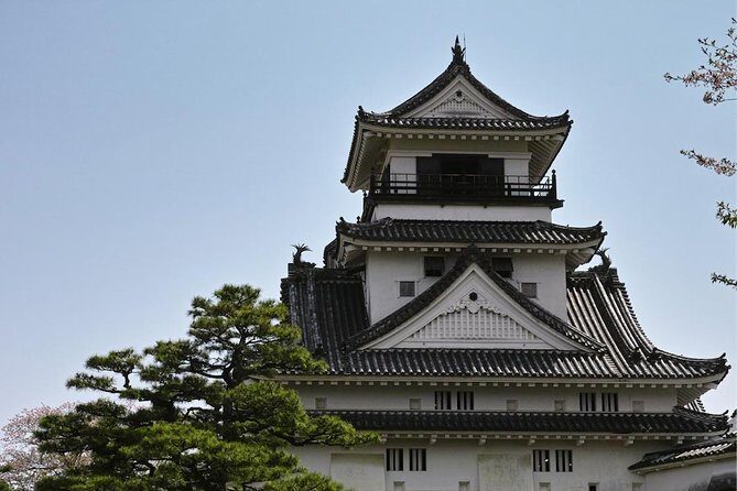Experience the energy of Kochi: Sunday Market Tour includes Kochi Castle - Key points at a glance