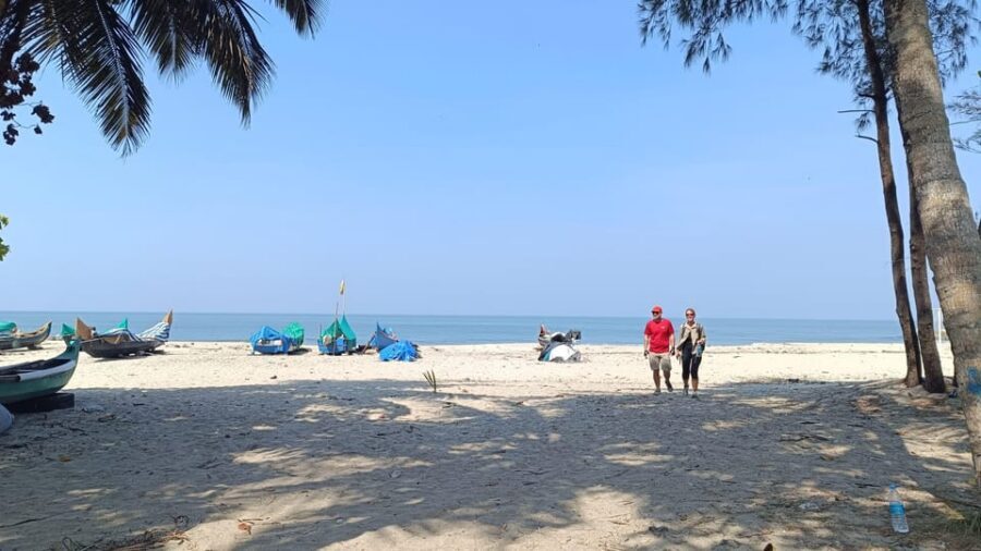Fort Kochi Beach and Backwater eBike/Cycling Tour (Half Day) - Kumbalangi Backwater Village: where the countryside quiet takes over