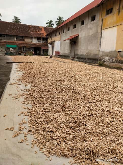 Fortkochi Heritage Walking tour with a local guide - Artisan Stops You Can Actually Picture: Papadam, Candles, and More