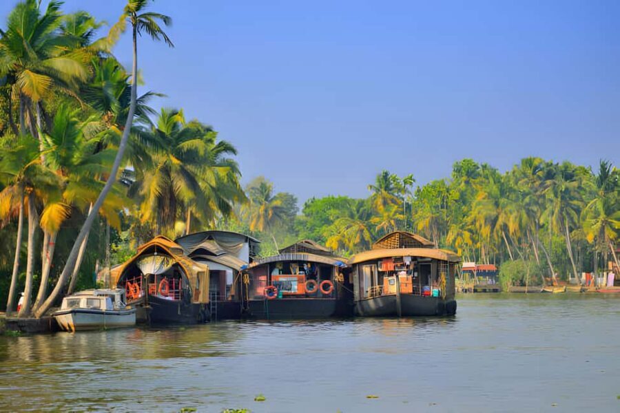 From Cochin: Day Tour of Alleppey houseboat with Lunch - Who this houseboat tour suits best (and who should skip)