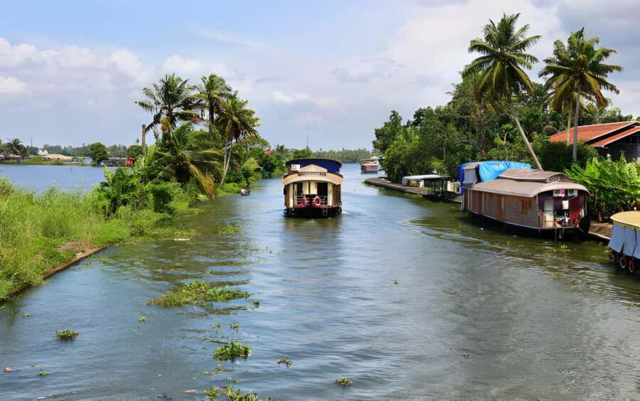 From Cochin: Day Tour of Alleppey houseboat with Lunch - Boarding the houseboat: what happens once you reach Alappuzha