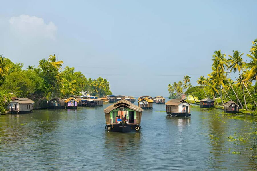 From Cochin: Day Tour of Alleppey houseboat with Lunch - Lunch on board: included, and the main reason this feels like more than a transfer