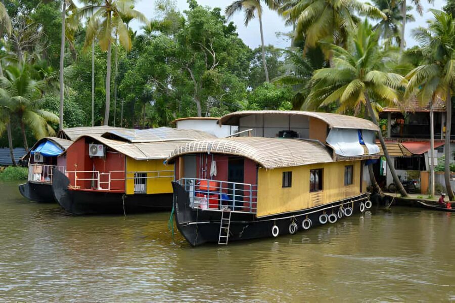 From Cochin: Day Tour of Alleppey houseboat with Lunch - Evening views and sunset timing: how to get the best out of 5:30 pm