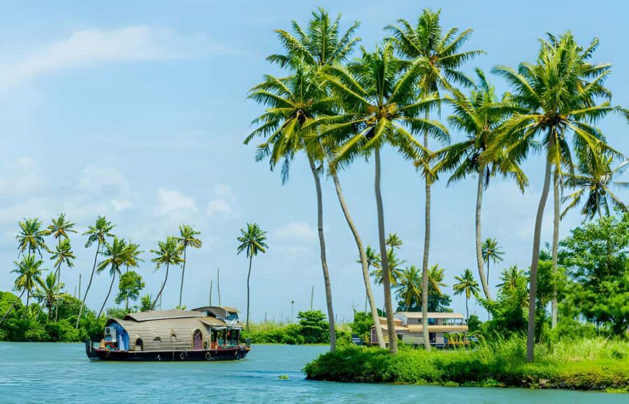 From Cochin: Day Tour of Alleppey houseboat with Lunch - Noon-to-sunset cruising: the schedule that helps you catch the light