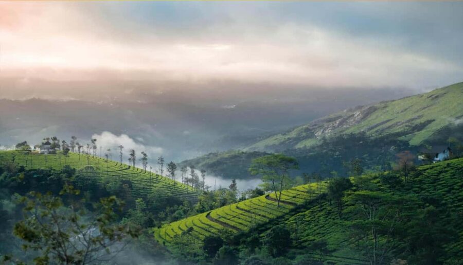From Cochin: Thekkady 2-Day Tour with Jeep Safari - How to Prepare for the Jeep Safari and Sanctuary Time